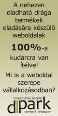 A weboldal valóban termelhet bevételt? A weboldal valóban termelhet bevételt?